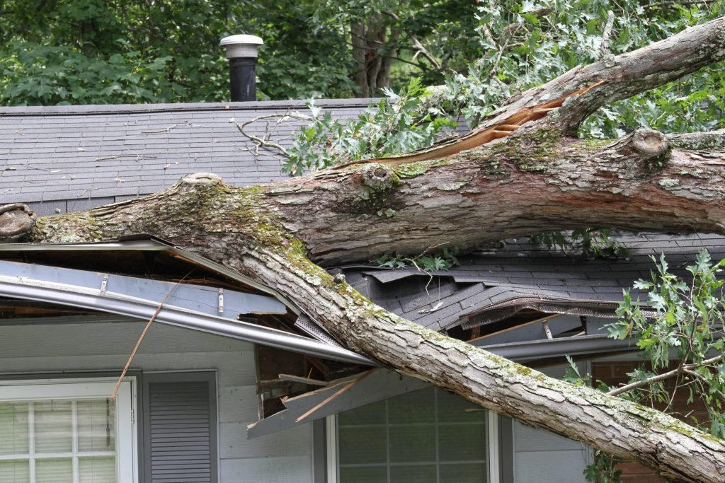 Understanding Roof Emergencies When to Act Fast